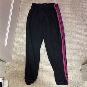 Women’s never worn Aviator Nation sweatpants